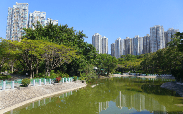 香港慢跑天堂:10大公園步道全攻略,帶你發現城市中的運動綠洲 - 食在台灣 飲食雜誌 你是否正在尋找香港適合運動的好去處?無論是想要慢跑或是健走,香港其實擁有許多風景優美、設施完善的公園與步道。今天就為大家精選10個最佳運動地點,讓你輕鬆展開健康生活! 客製 - 食在台灣 飲食雜誌 香港慢跑天堂:10大公園步道全攻略,帶你發現城市中的運動綠洲